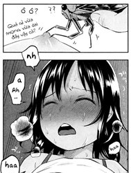 Bìa truyện Cuộc đời lầm lỡ của Ve Sầu! [Boku no Natsuyasumi; My Summer Vacation]