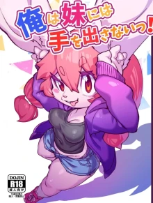 俺は妹には手を出さないっ！